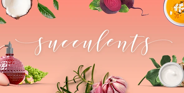Succulents – Healthy Lifestyle and Wellness WordPress Theme